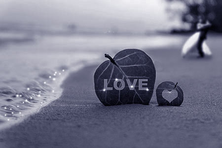 Fotografía de una hoja en la playa con el texto LOVE